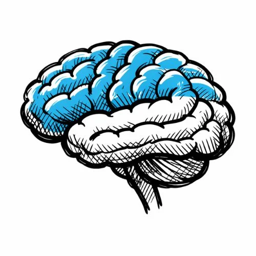 EBLI Brain Training